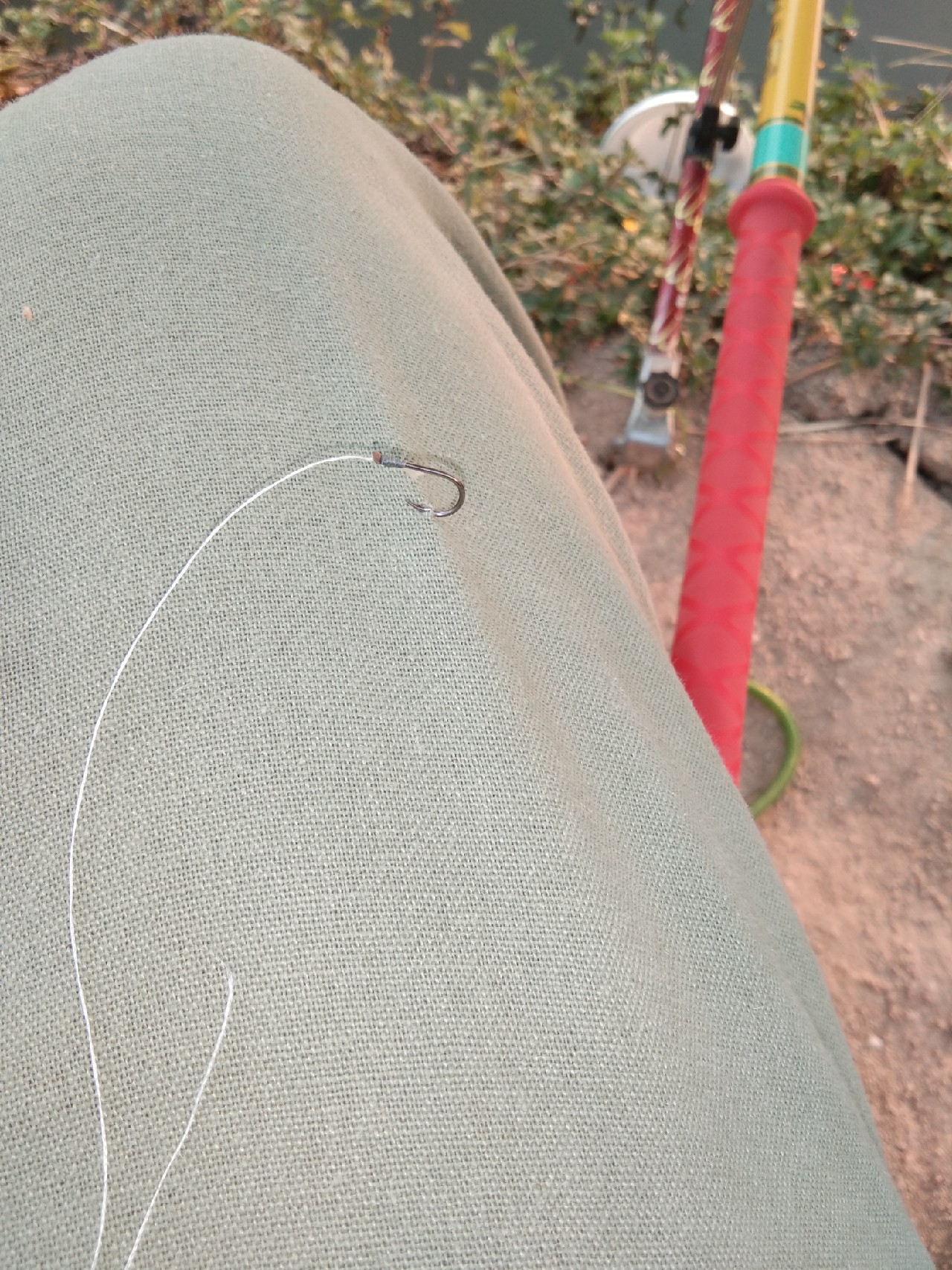 淡水白鲳秋天怎么钓,串钩钓淡水白鲳