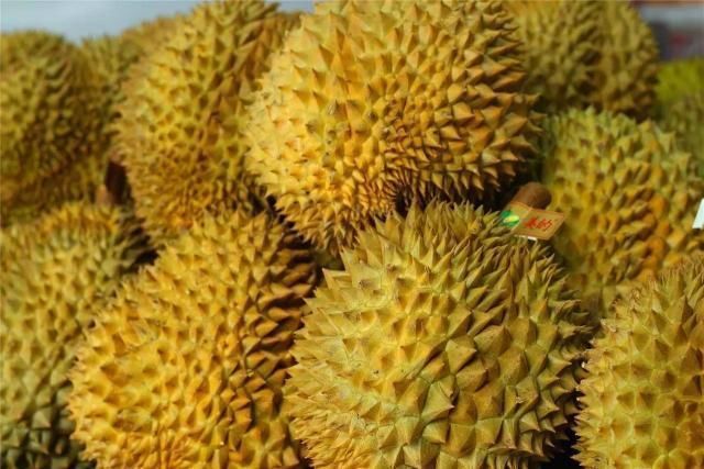 挑选榴莲三大技巧榴莲控必看,不会挑榴莲记住这三点