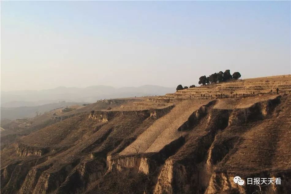 在哪抓鞭蝎,山西抓蝎