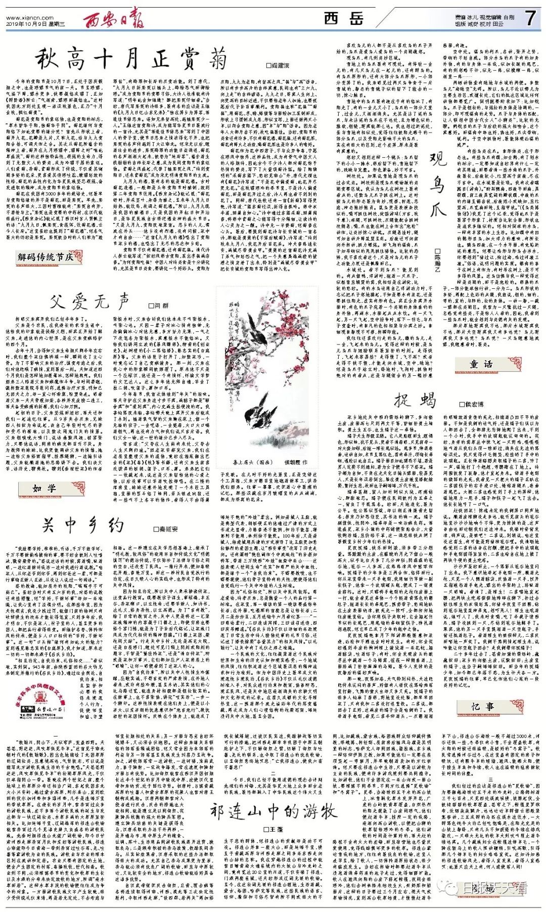 在哪抓鞭蝎,山西抓蝎