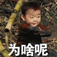 网络占卜算命套路大全图片,淘宝上的花式算命割韭菜