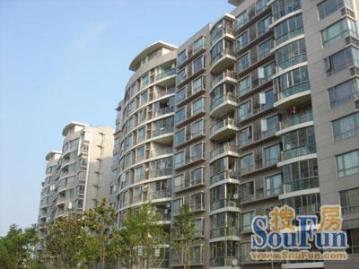 金杨新村五街坊价格,金杨新村五街坊房子值得买吗