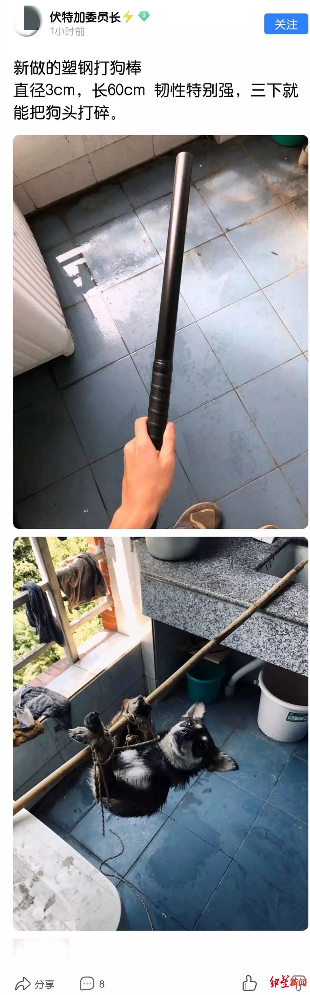 高校回应研究生虐狗处理结果,成都理工大学正式回应虐狗事件