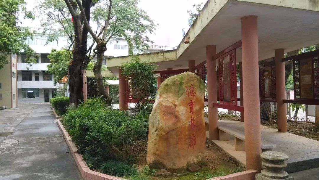 广州市增城区小学优秀学生,广州增城区小学前十名