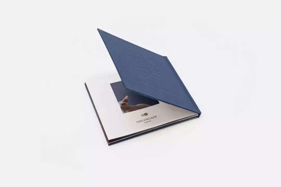 鍞辩墖璁捐瑙嗛,鍞辩墖璁捐鍒涙剰