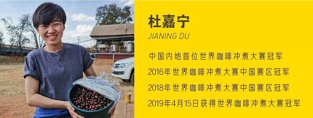 陆家嘴草地咖啡节,陆家嘴户外咖啡节