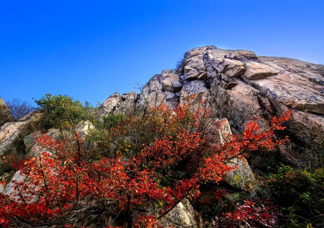 蓬莱夏天的海边,带你领略蓬莱好风景