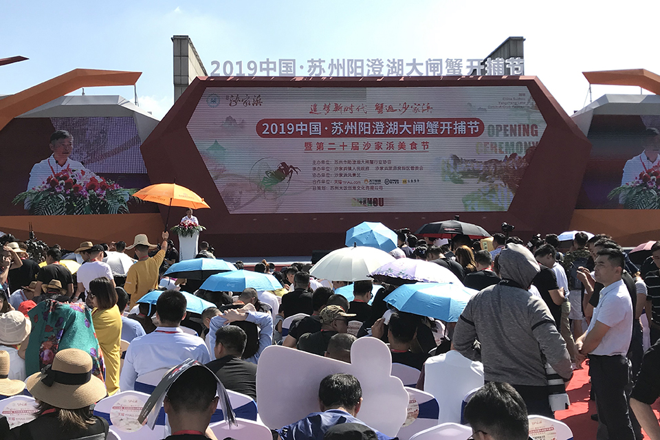 让路环保，户口难上，纸蟹横飞