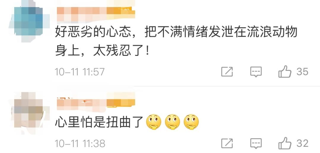 高校回应研究生虐狗处理结果,成都理工大学正式回应虐狗事件