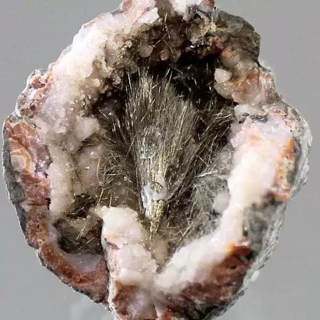 谁还不是个小可爱文案,谁小时候还不是个小可爱