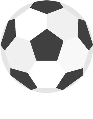 根宝足球基地简介,上海根宝足球基地近况