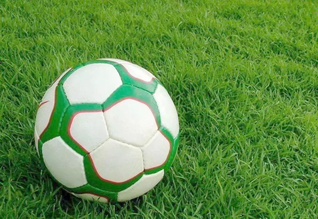 福田新花卉世界搬哪里,深圳福田花卉世界新址