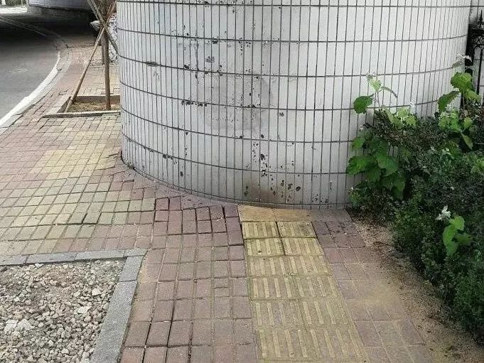 国际盲人节：假如让我三天失明