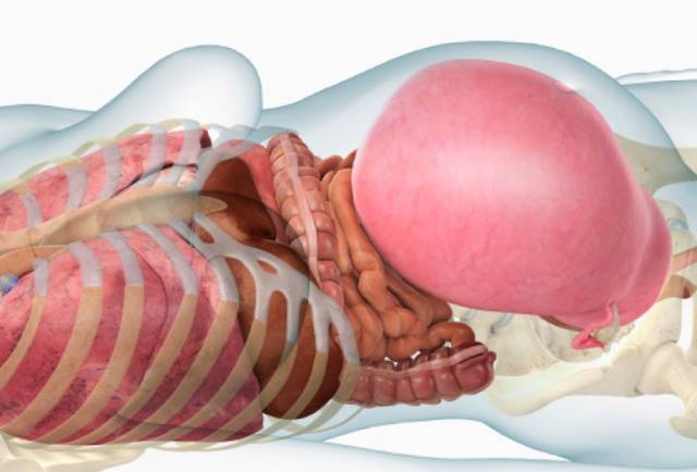 睡眠和失眠有什么区别,打鼾睡眠监测