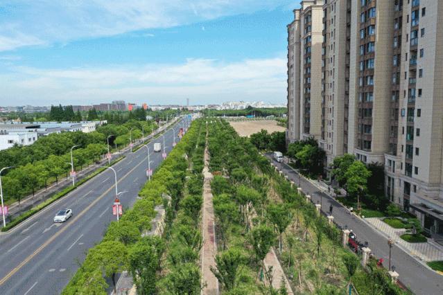 住在松江是什么体验,住在松江区