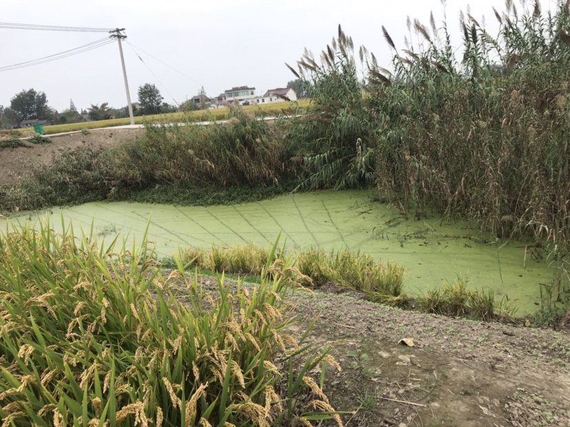 路亚打黑2022年视频,路亚打黑第一条鱼