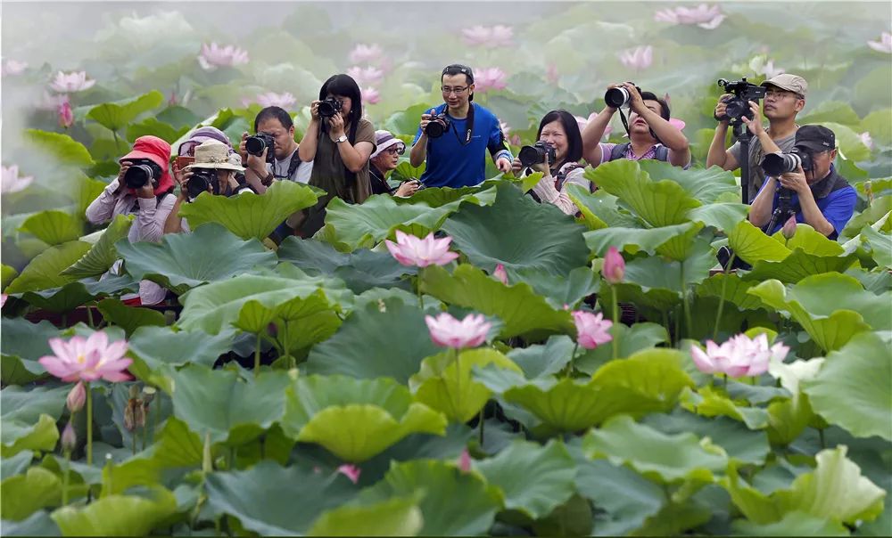 嘉兴秀洲哪个镇最好,曾经的江南是现在的哪里