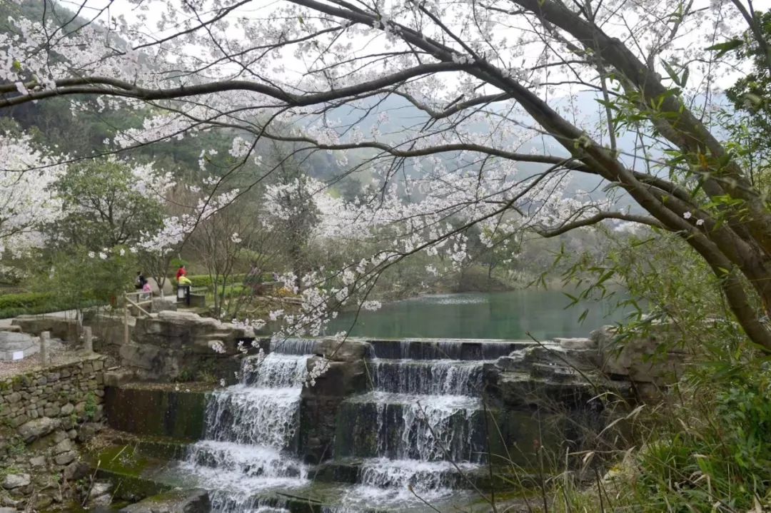 宁波北仑免票景点,北仑万人沙滩哪些人免票