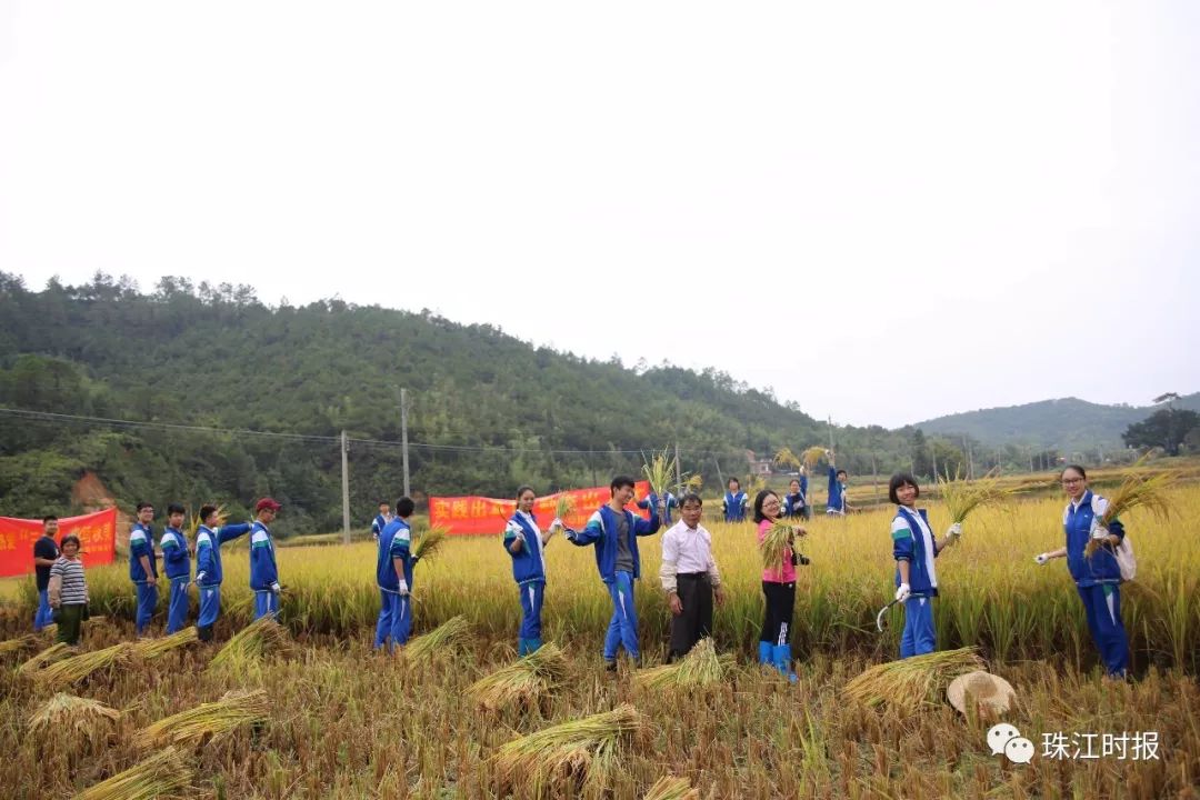 本科上线100%的学校,华附南海实验高中2023预估录取线