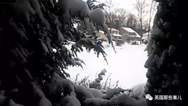 一场看图识物活动的背后，一场追捕暗网恋童癖的网络战役打响了