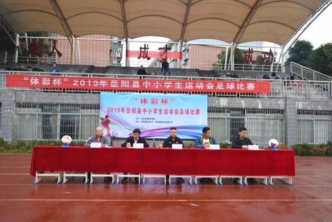 校园足球绿茵赛,绿茵场足球联赛