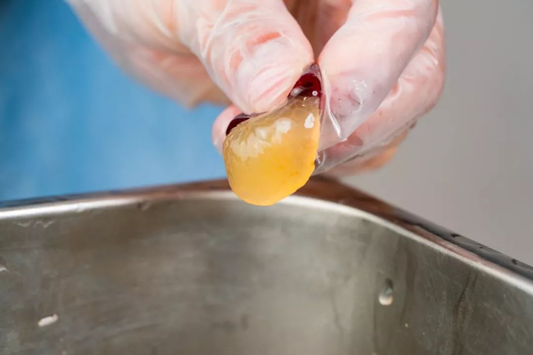 喜茶19.9元买一送一中华城,喜茶团购9.9扬州