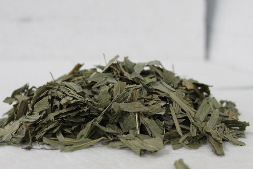 淫羊藿,淫羊藿补一身之阳气