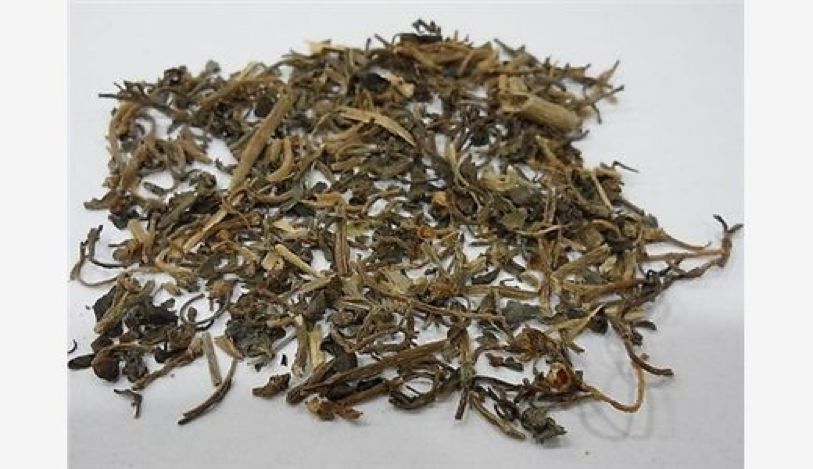 淫羊藿,淫羊藿补一身之阳气