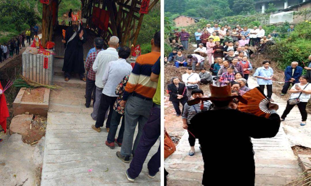 竹子的优点有哪些,竹子很有营养吗