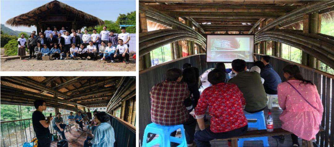 竹子的优点有哪些,竹子很有营养吗