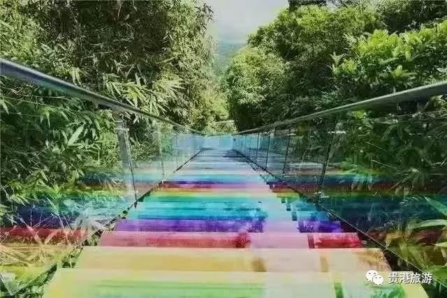推荐|七彩天梯、野生猕猴、汽车露营……贵港龙潭国家森林公园与你不见不散