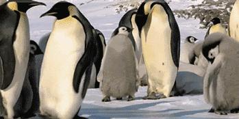 地表Zui强！暴雨蹦迪从不湿还巨暖和！比2个鸡蛋还轻，走8小时一点都不累