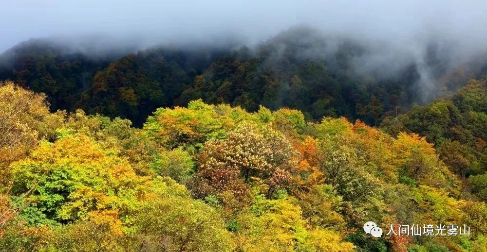 秋天的川西彩林,川西彩林最佳观赏地点