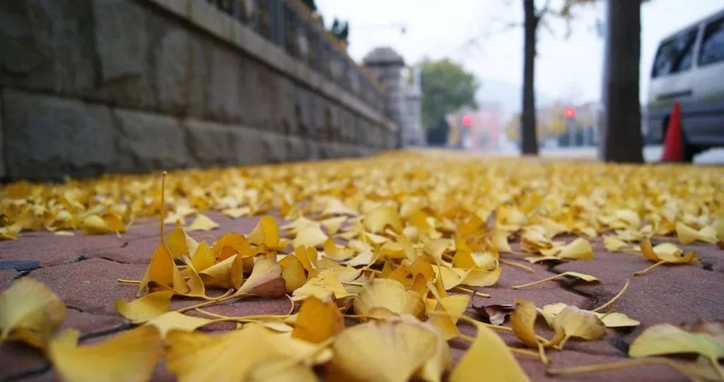 秋裤应该什么时候穿医生告诉你,秋裤什么时候脱掉