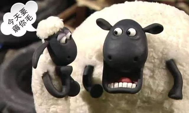 留学申请外币信用卡,留学申请国外信用卡