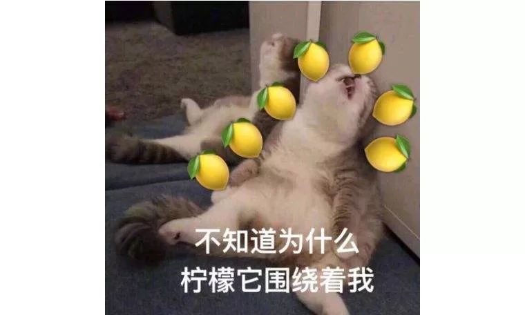 完美女神竟是“宠夫狂魔”？实力圈粉上演浪漫双重奏