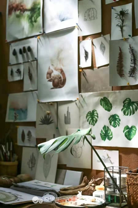 蜡笔森林在哪,蜡笔森林亲子游