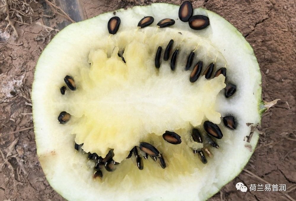 土壤盐碱化原因危害和措施,造成土壤酸碱性的原因