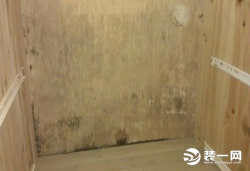 卧室衣柜潮湿发霉怎么办,家里衣柜发霉怎么去除霉斑
