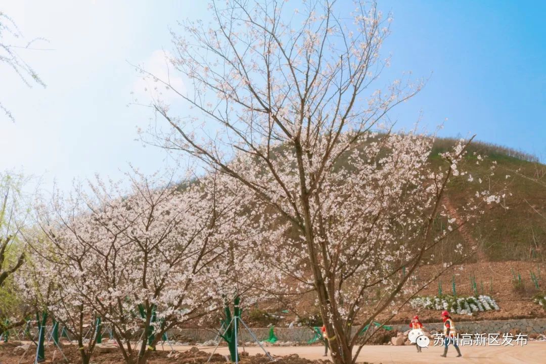 来了游乐场,苏州萌宠乐园