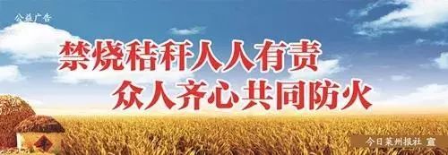 莱州十大学校排名,莱州特色品牌学校