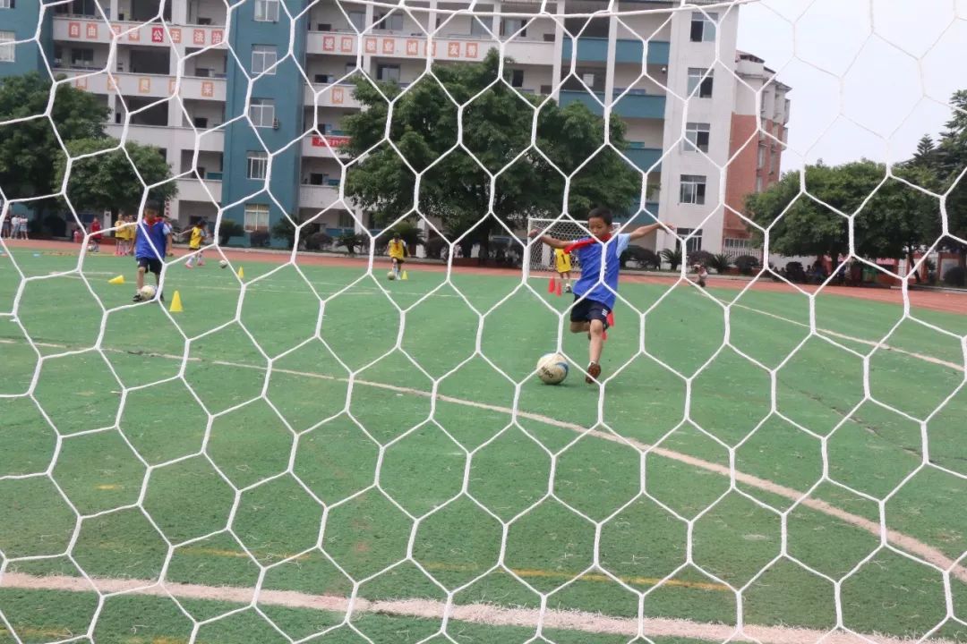 马路对面是学校环境怎么样,马路对面学校真实照片