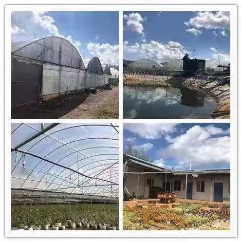 急售2室2厅一厨一卫,县城中心地段二室一厅出售