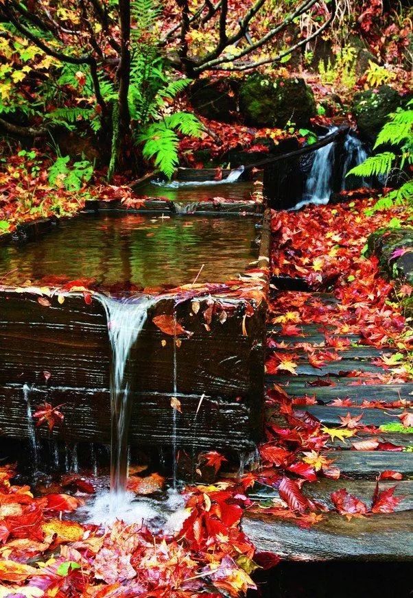 人均200一日游,100元一晚自驾游民宿