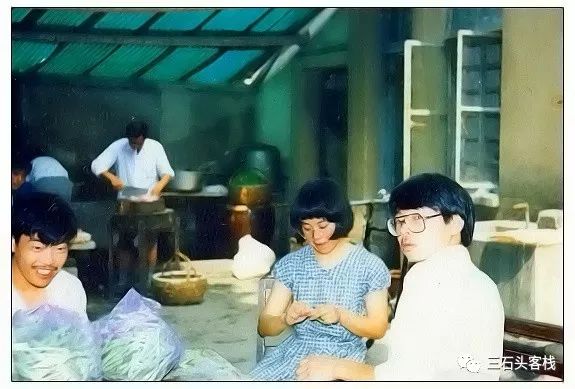 华政的简介,华政的故事