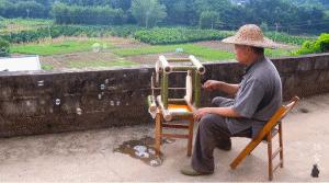 人气最高网红村姑,盘点曾经很火的村姑网红