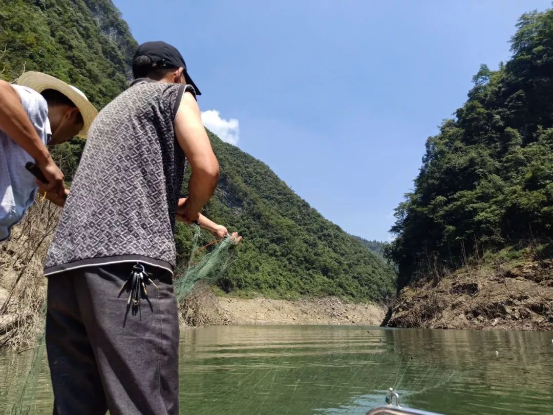 脱贫征文|三条鱼一千多元，穷山沟变“聚宝盆”！