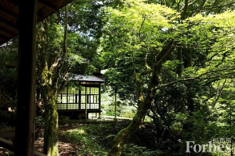 福布斯度假指南,福布斯打卡