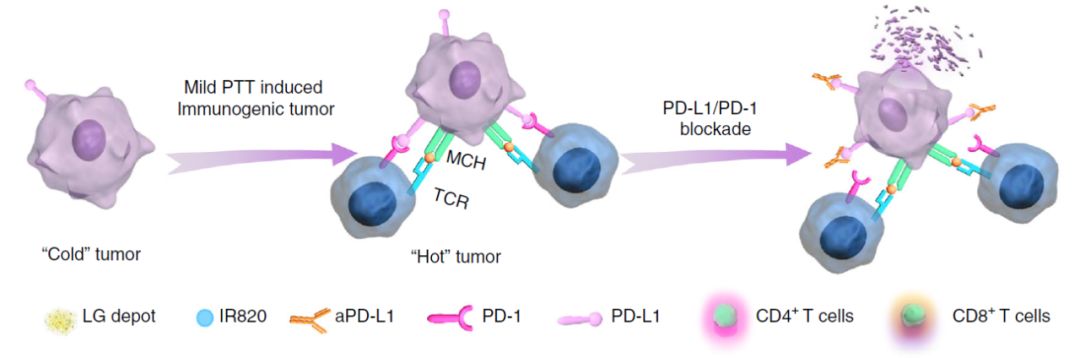 如何把冷肿瘤变成热肿瘤,肿瘤热疗新趋势热死肿瘤不伤身
