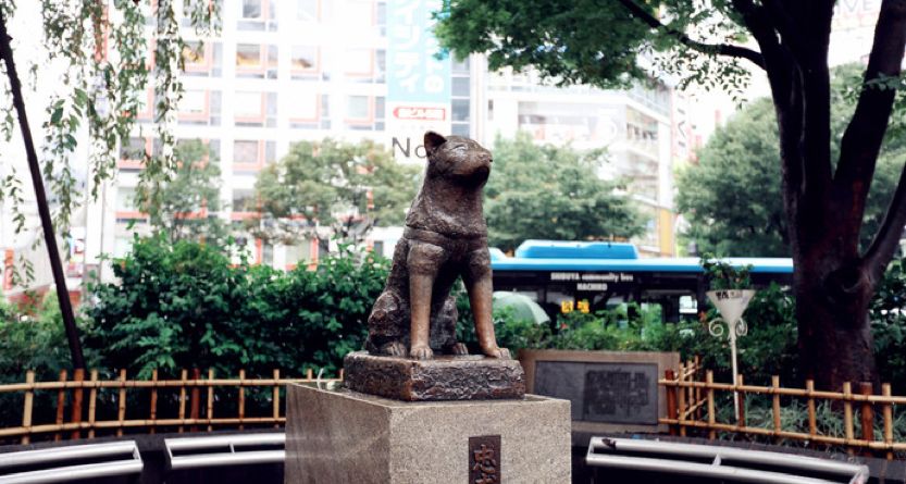 涩谷十字路口攻略,涩谷十字路口迷失方向